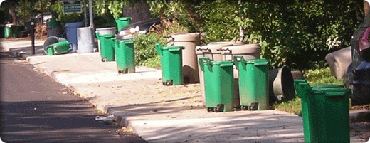 多伦多绿色垃圾箱