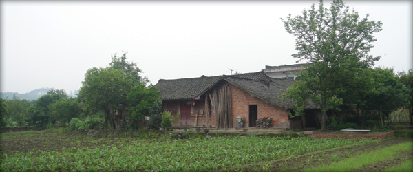 Chinese farm