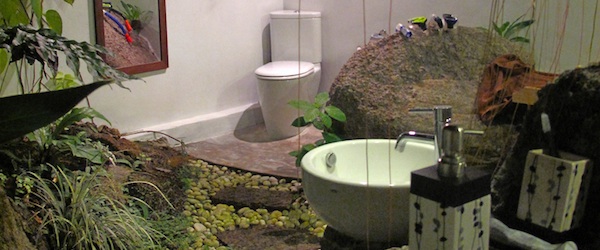 生态友好的浴室