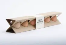 重新装鸡蛋的盒子
