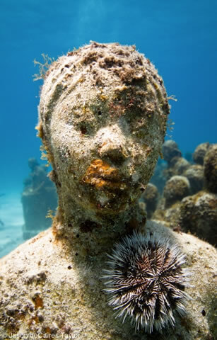 水下珊瑚雕塑
