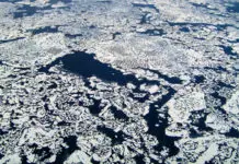 北极海冰