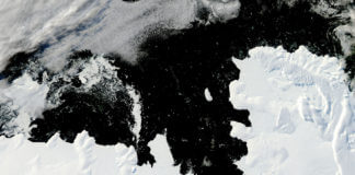 南冰洋