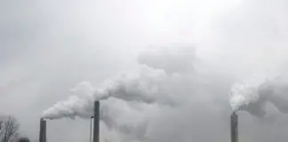 碳排放量