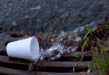 纽约市禁止使用聚苯乙烯泡沫塑料