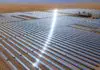 世界上最大的太阳能发电厂