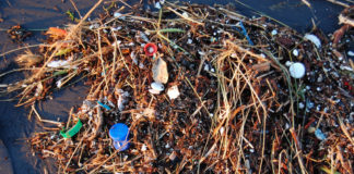 海洋中的塑料污染
