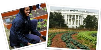 米歇尔·奥巴马白宫花园
