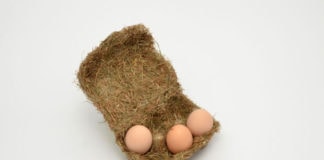 快乐鸡蛋可持续包装
