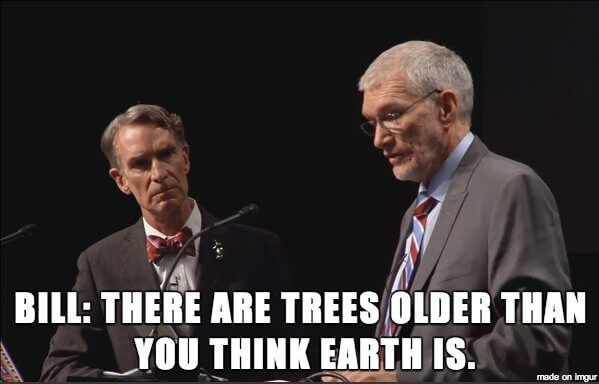 比尔·奈:有些树比你想象的地球还要古老