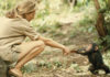 Jane Goodall与婴儿黑猩猩