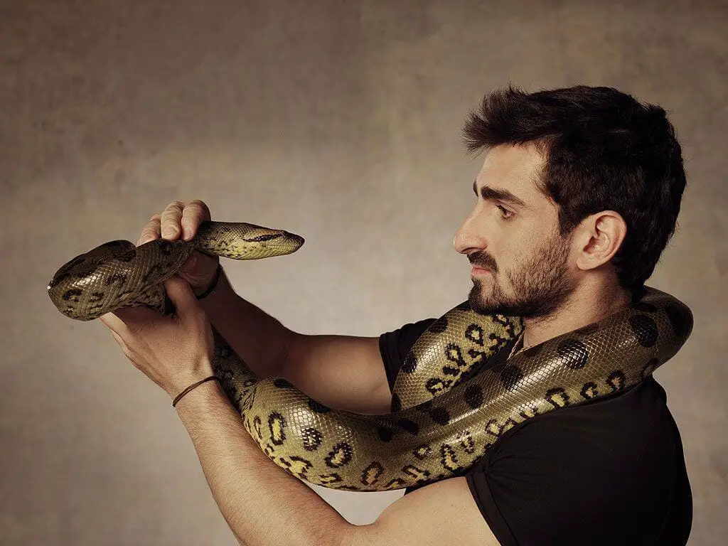 保罗Rosolie和蛇