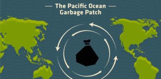太平洋垃圾补丁
