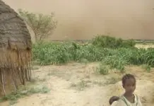 尼日尔、气候变化的热点