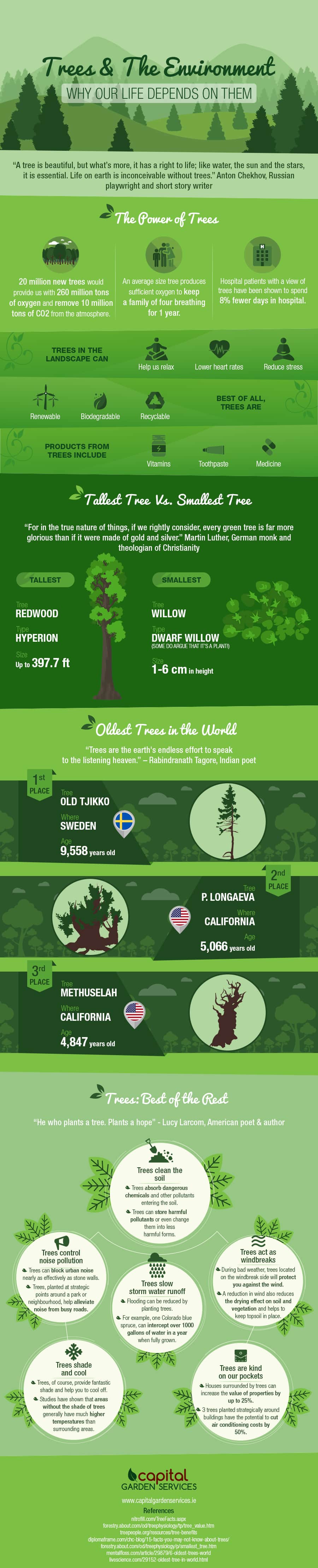 树木环境信息图
