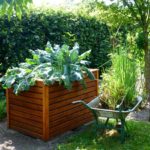 clean_the_garden_beds_and_borders