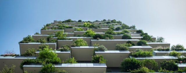绿色公寓清单-把你的家变成一个绿色，清洁的绿洲