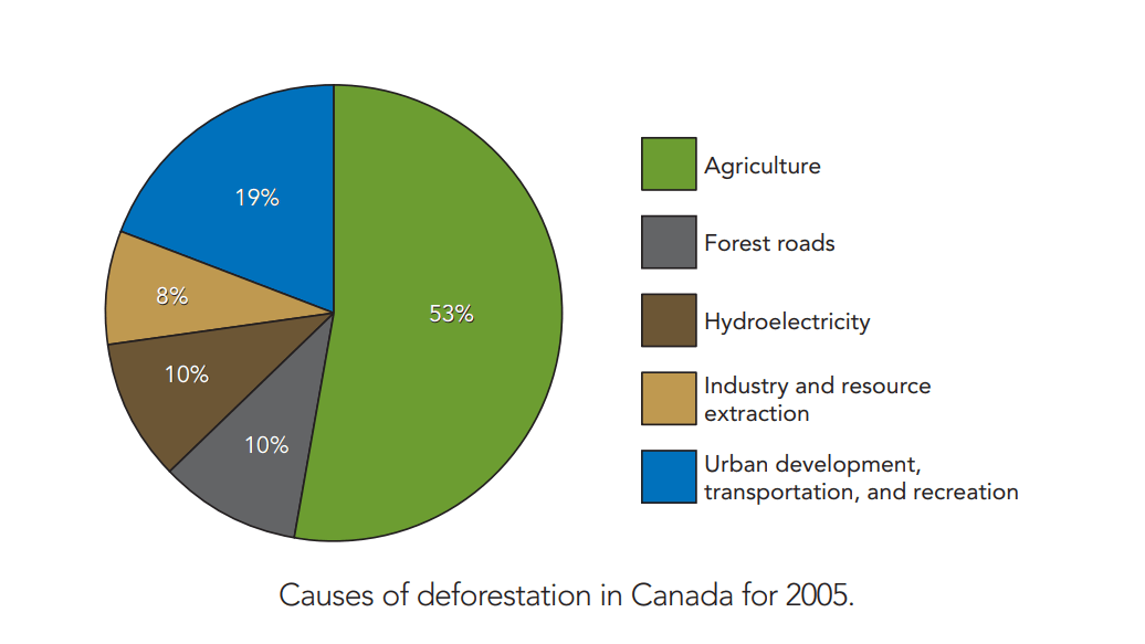 causes-of-deforestation-canada