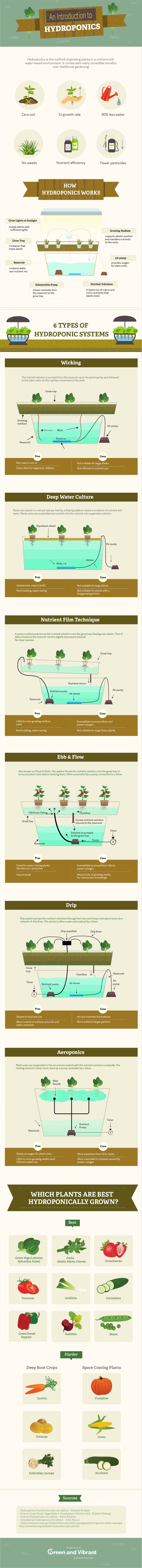 introduction-to-hydroponics-the-beginners-guide-infographic