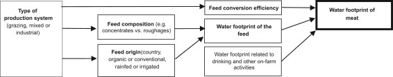 water-footprint-meat-system