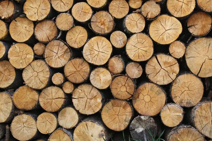 交叉层压木材 - 需求 - 增长 -  15
