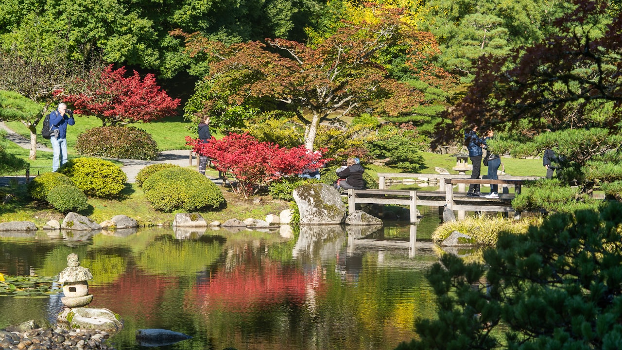 西雅图植物园日本花园
