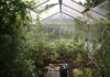 greenhouse gardening pros and cons