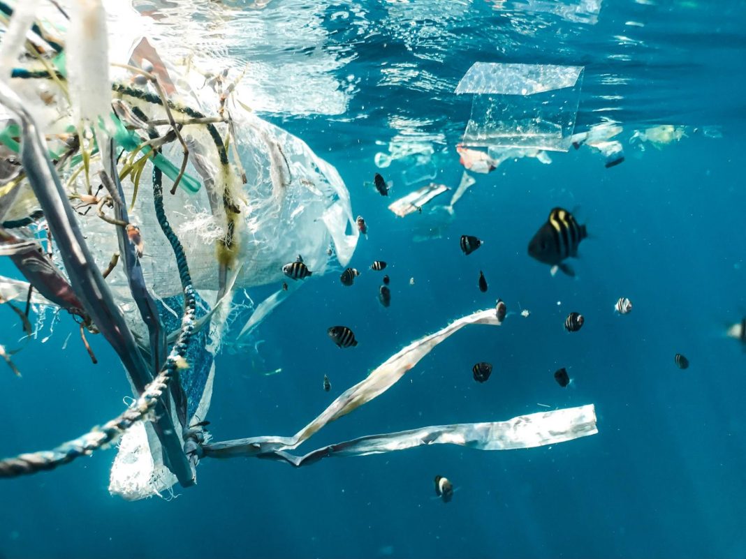 塑料漂浮在海洋里