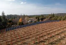 Sunzaun垂直太阳能农场在一个葡萄园里