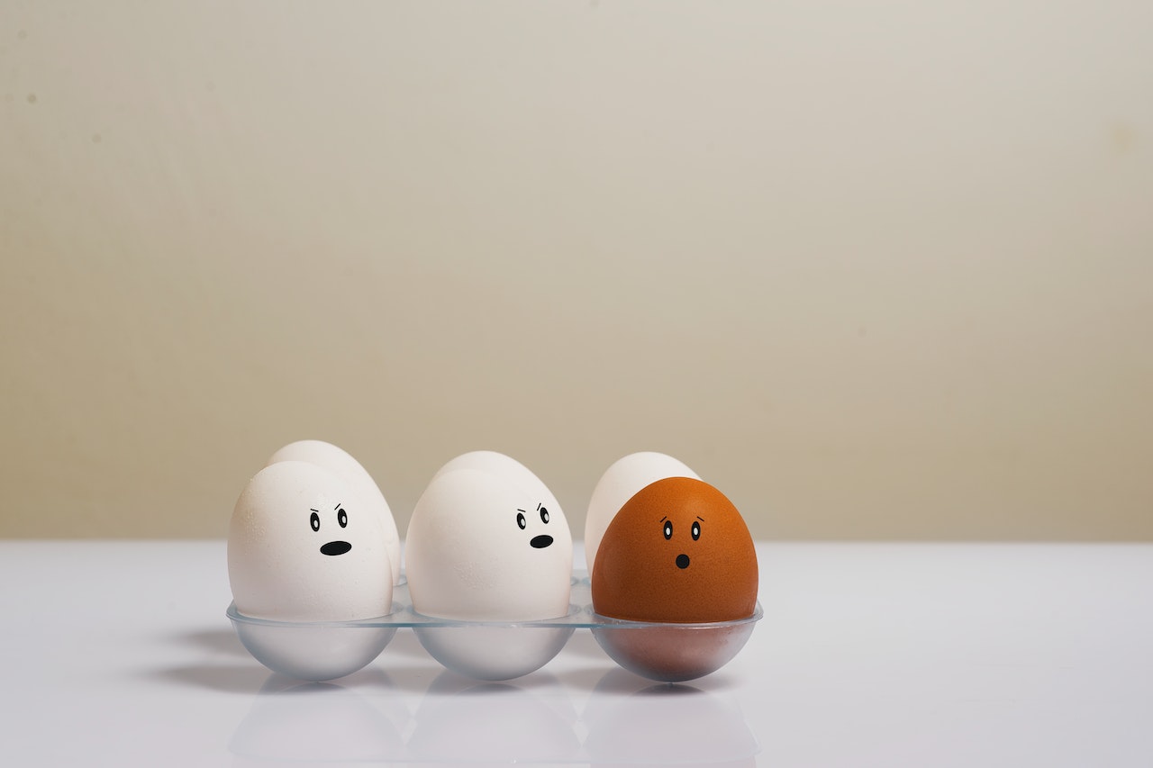 散养和自由放养的鸡蛋:有什么区别吗?
