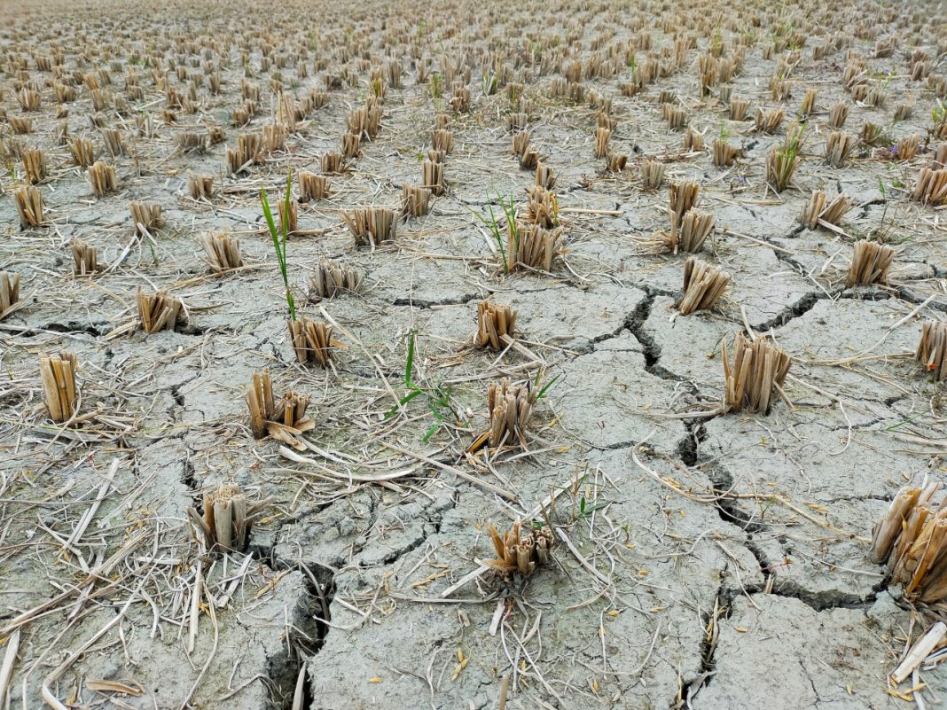 气候变化的农业