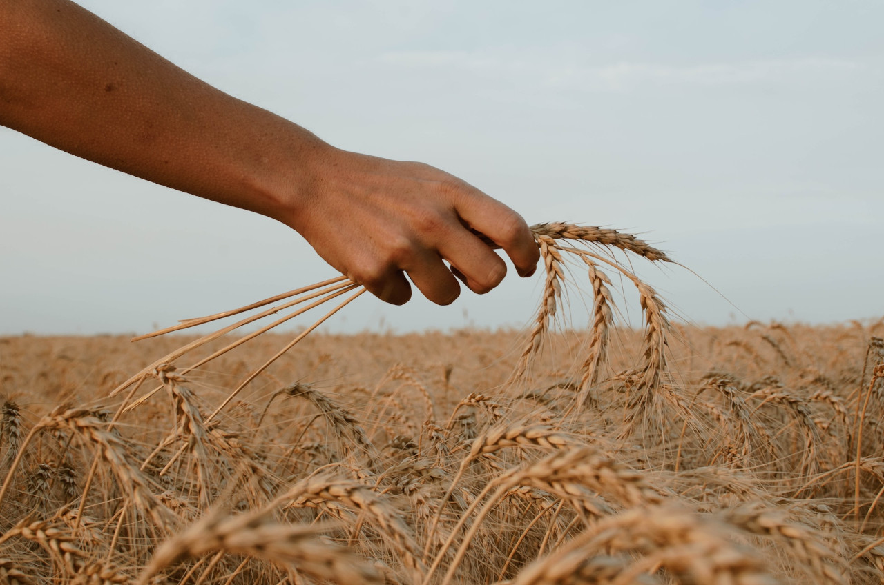 气候变化如何影响农业和粮食供应吗