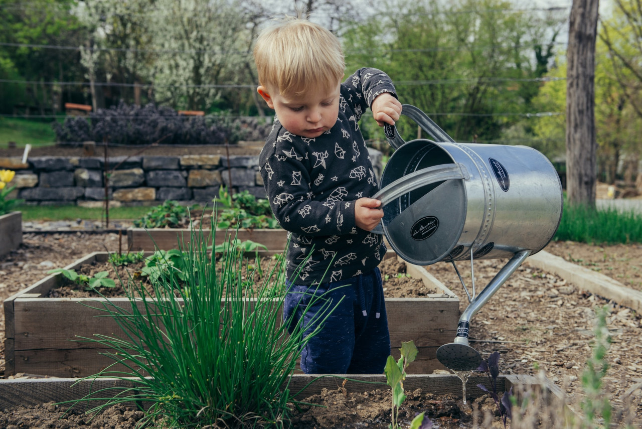 如何让孩子们对园艺感兴趣吗