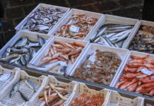 可持续鱼类消费