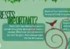 Rainforest facts banner