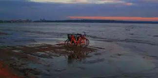 骑自行车出海