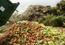 10食物废物 - 解决方案 - 即 - 基本上习惯 - 以保存 - 地球