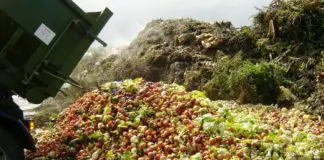 10食物废物 - 解决方案 - 即 - 基本上习惯 - 以保存 - 地球