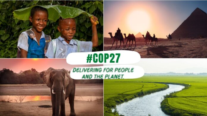 cop27 -联合国气候变化会议